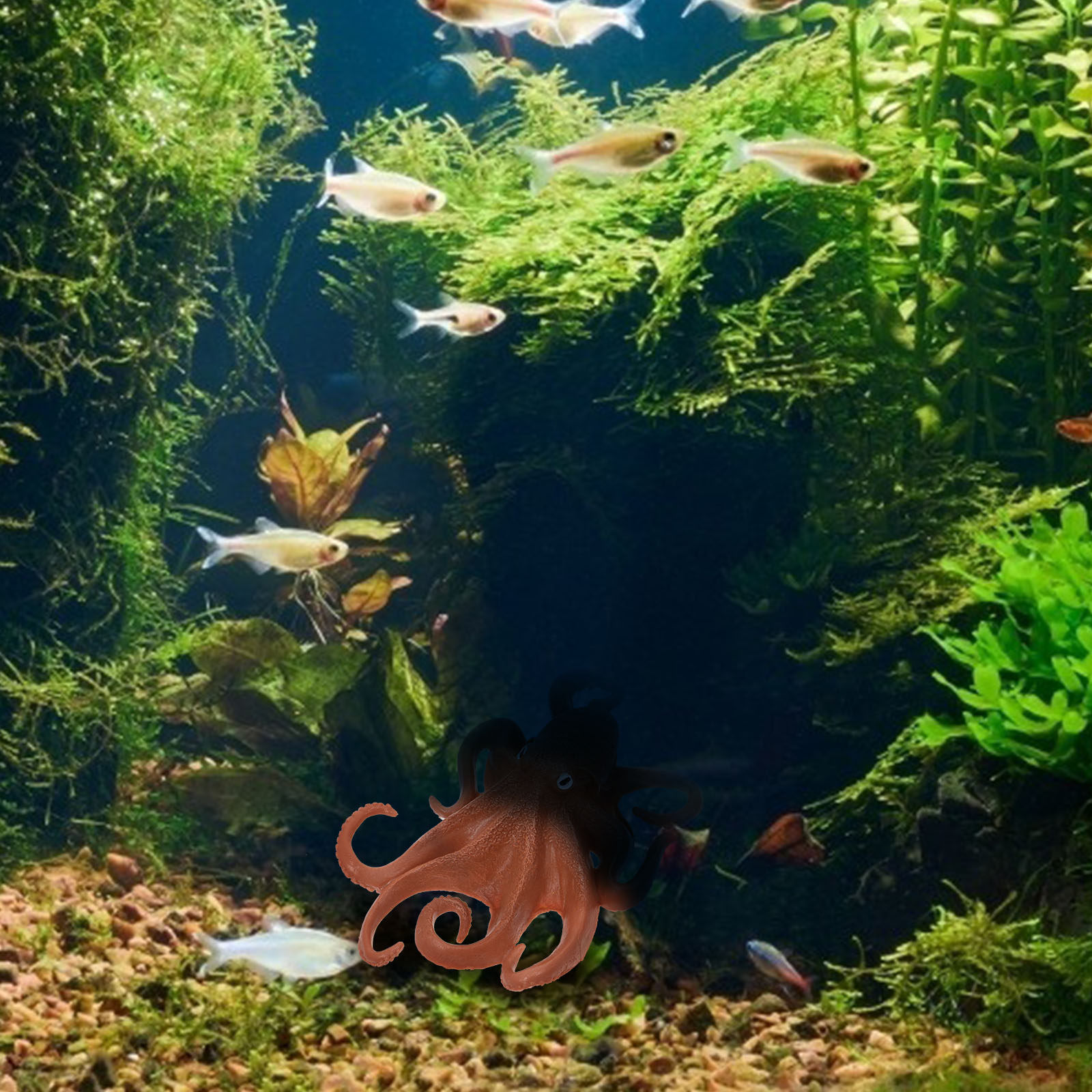 Realistic Octopus Figure Plast - Marine Aquarium 评论和价格